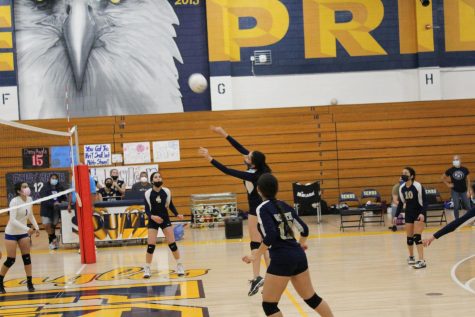 Girls Varsity Volleyball Sweeps Arroyo