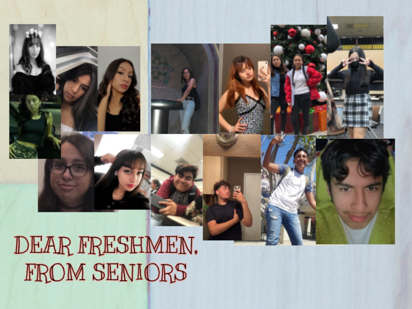 Dear+Freshmen%2C+From+Seniors