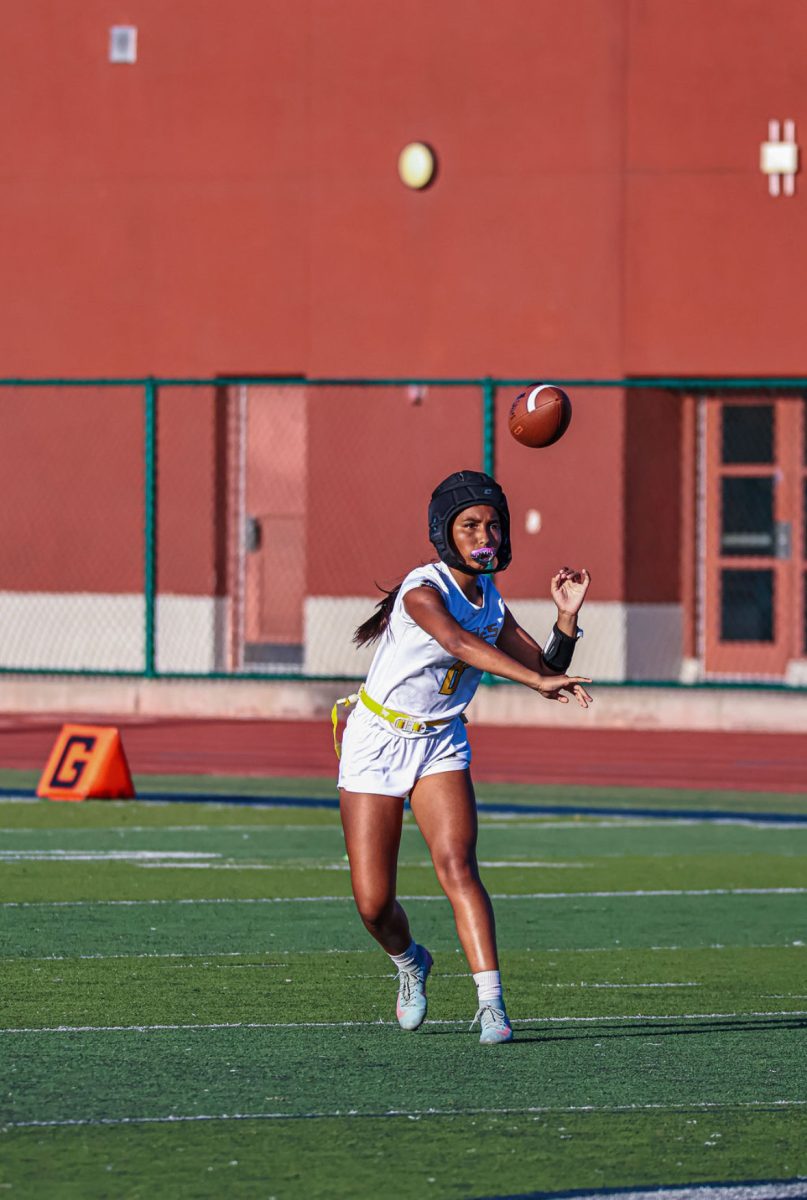 Sophomore Standout
